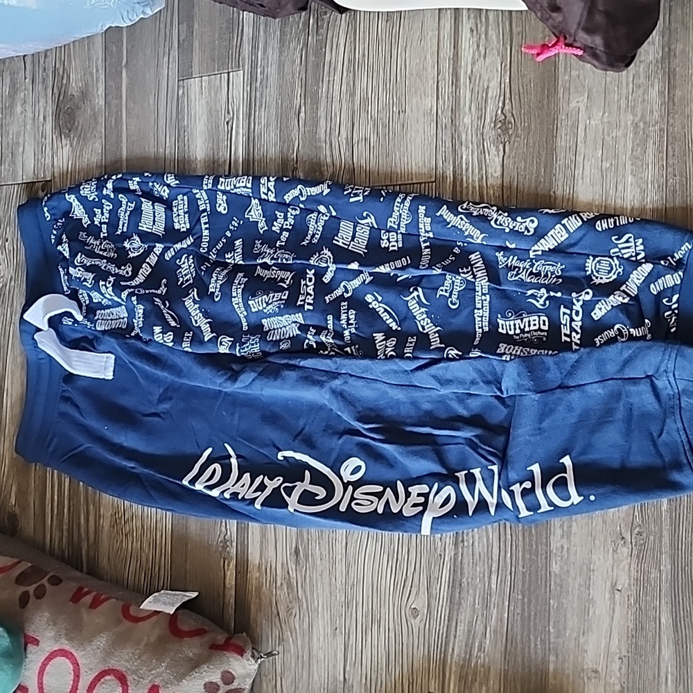 Walt Disney world sweatpants
